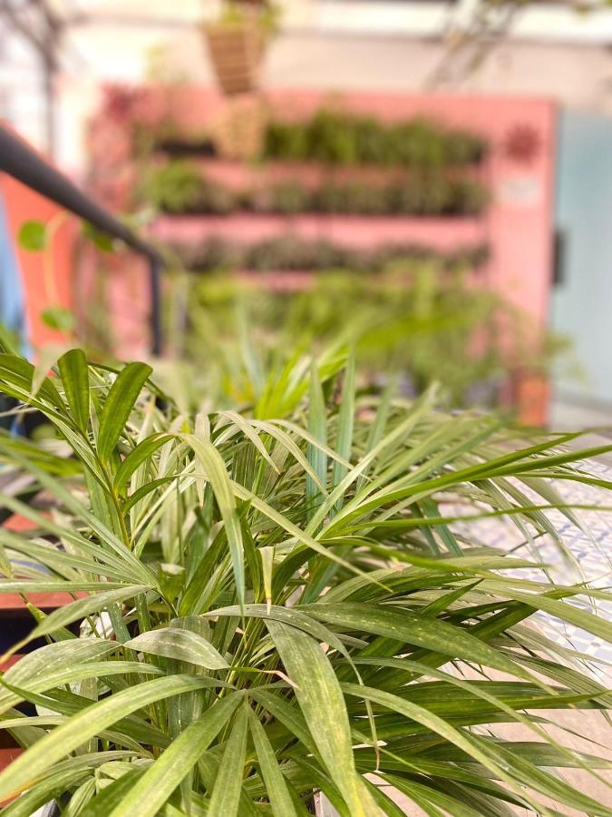 Hotel Anauco 布卡拉曼加 外观 照片